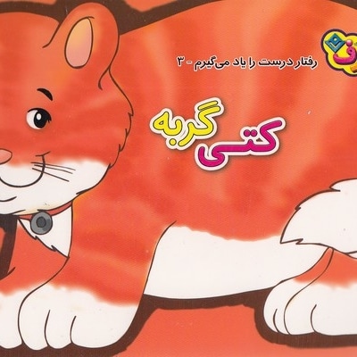رفتار درست را یاد می گیرم 3 - کتی گربه